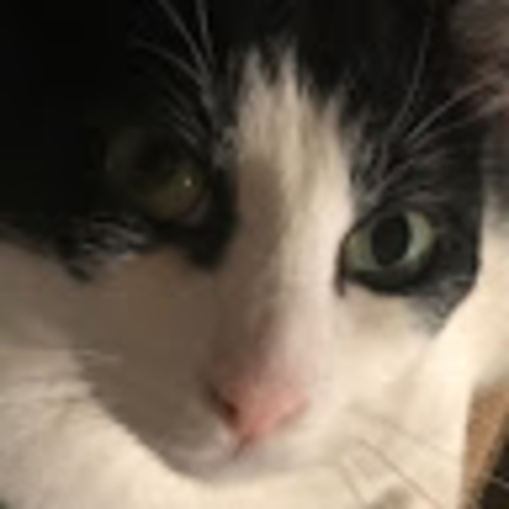 Meet your Posher, Karley